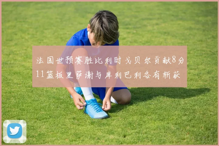 法国世预赛胜比利时戈贝尔贡献8分11篮板里萨谢与库利巴利各有斩获