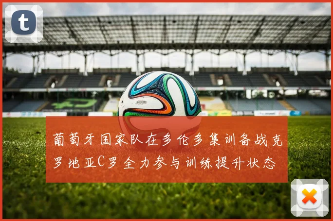 葡萄牙国家队在多伦多集训备战克罗地亚C罗全力参与训练提升状态