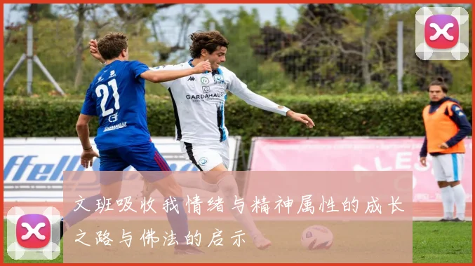 文班吸收我情绪与精神属性的成长之路与佛法的启示