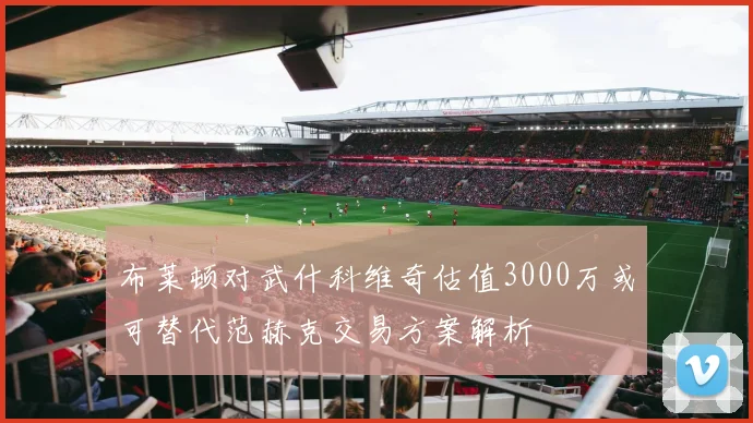 布莱顿对武什科维奇估值3000万或可替代范赫克交易方案解析